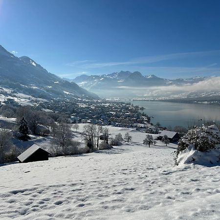 Verena'S Boutique Villa Au Lac 萨克森 外观 照片